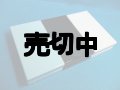 ａｕ　ｄｅｓｉｇｎ　ｐｒｏｊｅｃｔ　ｎｅｏｎ　Ｗ４２Ｔ　モックアップ　【クリックポスト非対応商品】