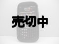 Samsung　Ｂ３２１０　ＣｏｒｂｙＴＸＴ　モックアップ　ｆｒｏｍイギリス