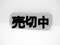 イーモバイル　ＧＬ０８Ｄ　ｄａｔｅ ｓｔｉｃｋ　モックアップ