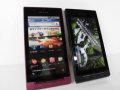 ＮＴＴドコモ　Ｔ－０１Ｃ　ＲＥＧＺＡ　Ｐｈｏｎｅ　モックアップ　２色セット