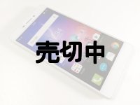 ＦＲＥＥＴＥＬ　ＲＡＩＪＩＮ　シルバー　モックアップ