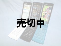 画像2: ＮＴＴドコモ　Ｆ－０１Ｂ　モックアップ